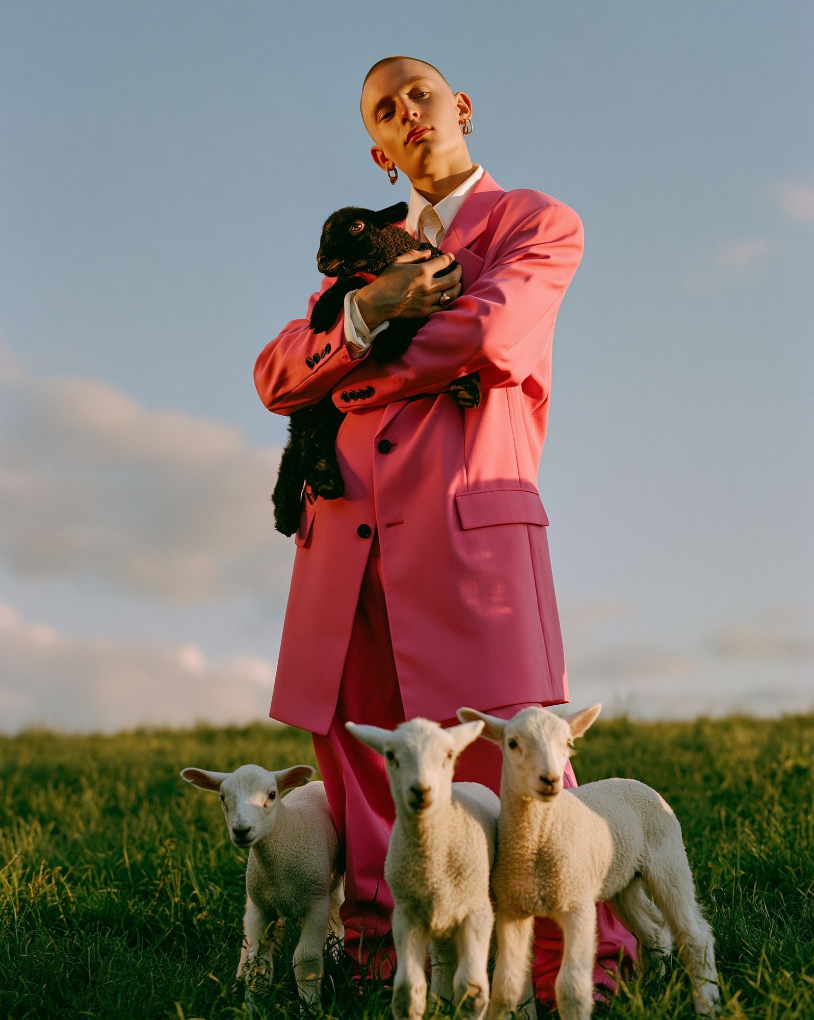 Pink Suit with Lambs Photography Poster. poster — photography art