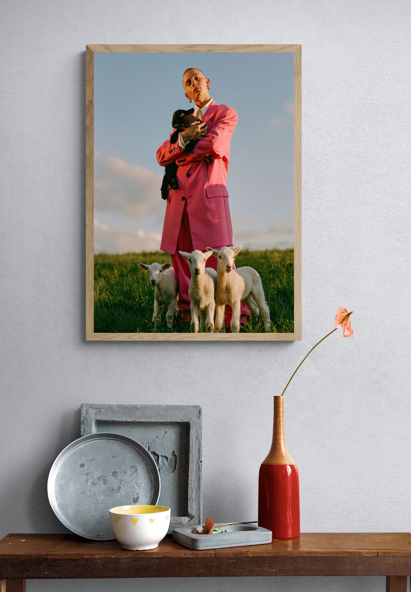 Pink Suit with Lambs Photography Poster. — room view 3