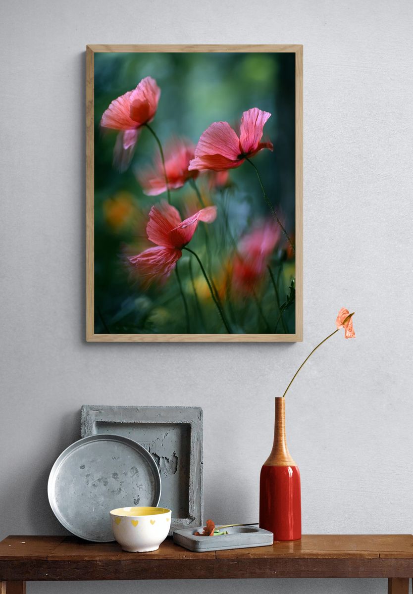 Pink Poppy Flowers — Photography Print. — room view 3