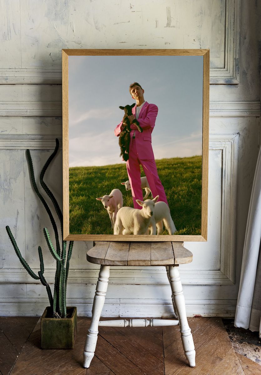 Pink Suit with Lambs Photography Poster. — room view 1