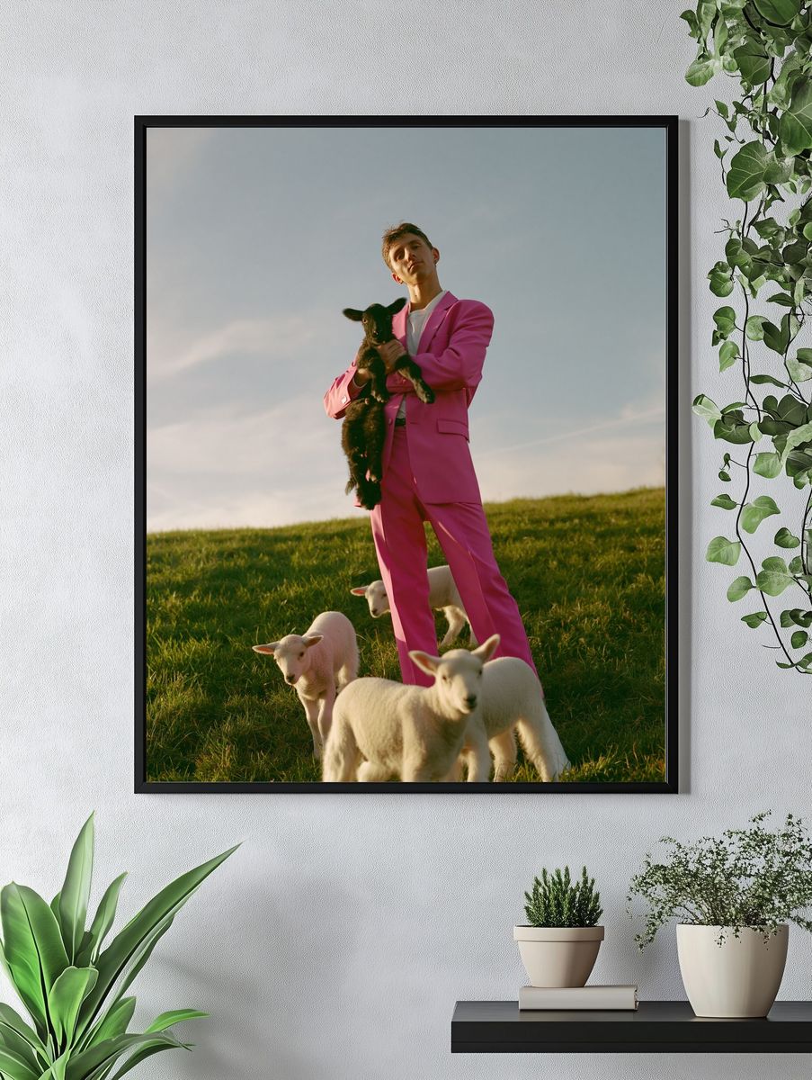 Pink Suit with Lambs Photography Poster. — room view 4