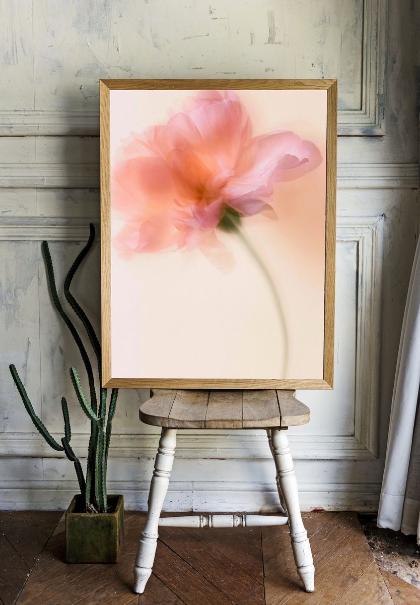 Soft Pink Blossom Photography Poster. room preview