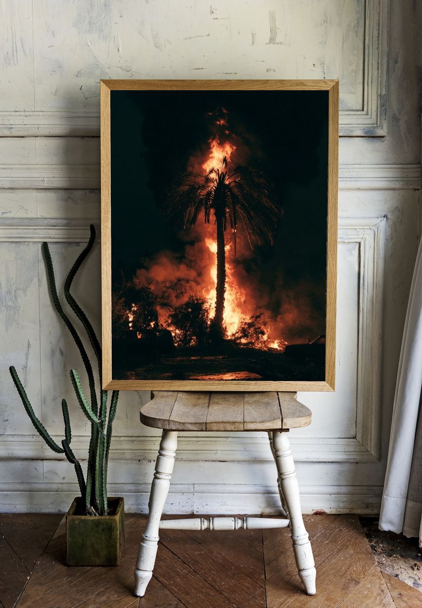 Palm Tree Fire Night Photography Poster. room preview
