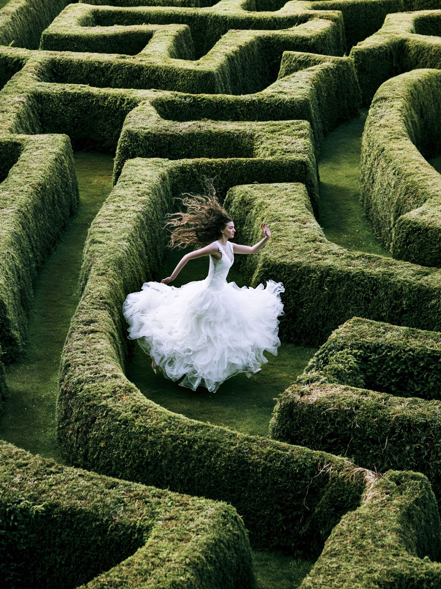 Bride in Hedge Maze Photography Poster. poster detail