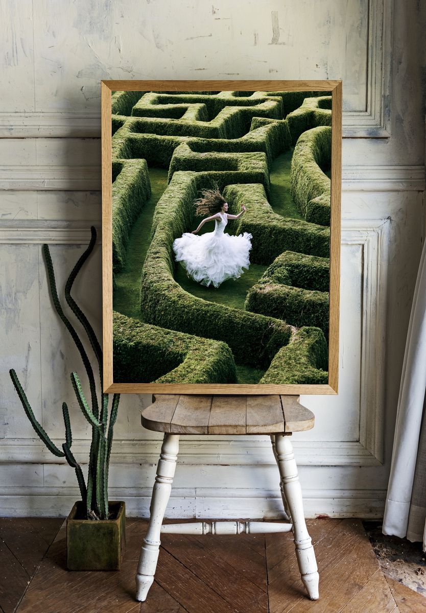 Bride in Hedge Maze Photography Poster. room preview