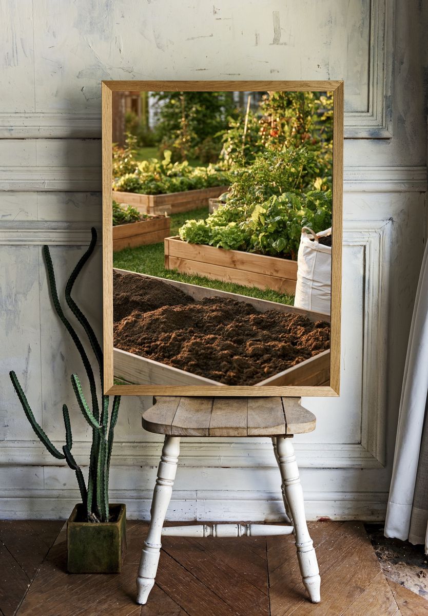 Sunlit Garden Beds Photography Poster. room preview