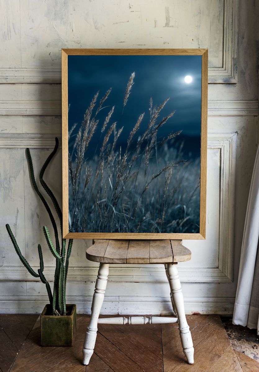 Moonlit Grass Field Photography Poster. room preview
