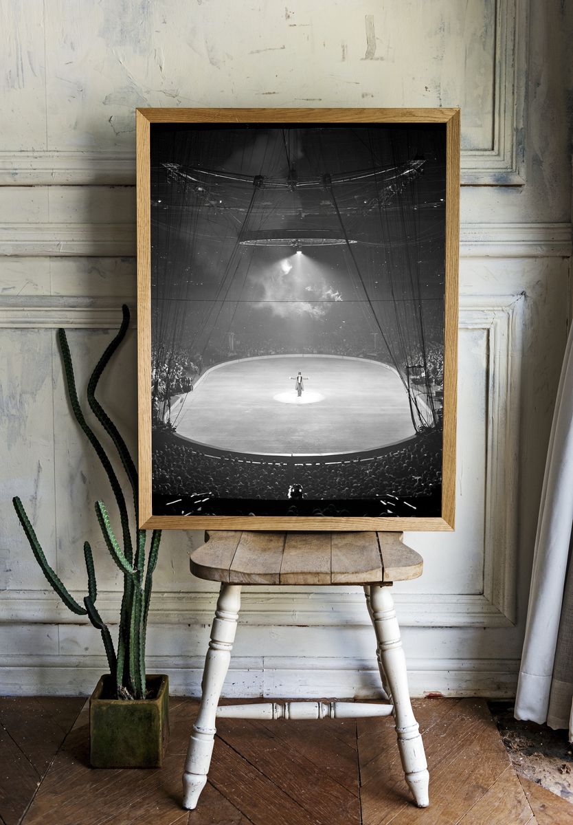 Circus Ring Spotlight Photography Poster. — room view 1