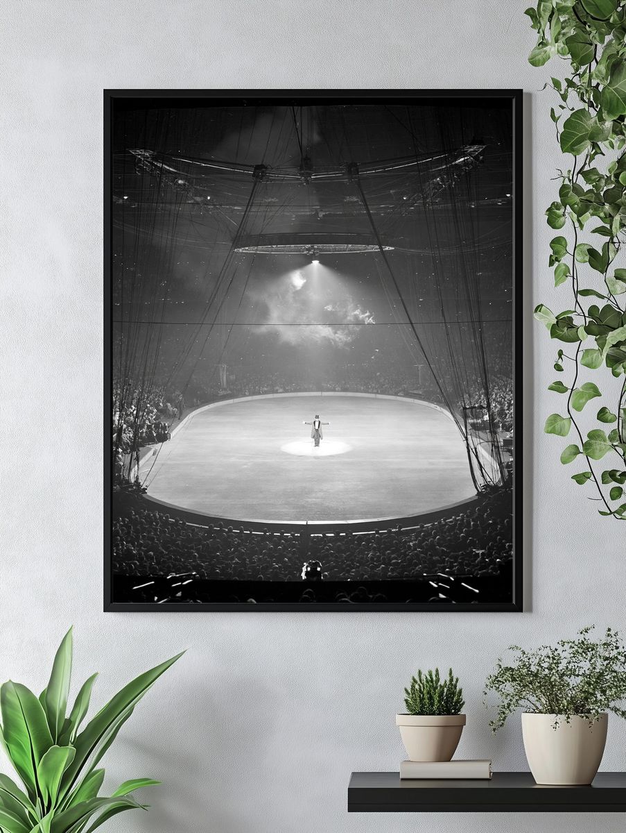 Circus Ring Spotlight Photography Poster. — room view 4