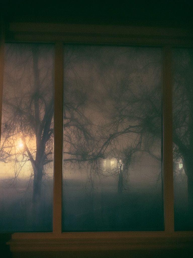 Foggy Trees at Dusk Photography Poster. poster detail