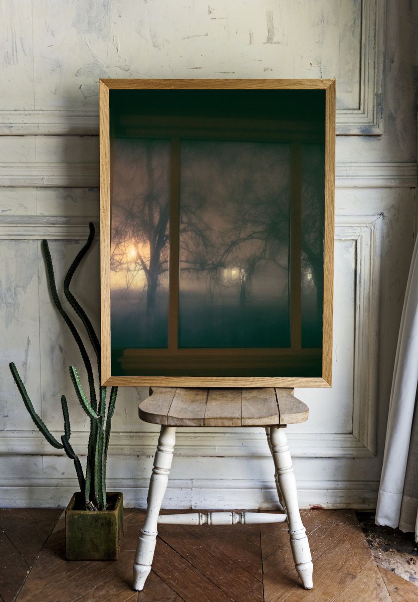 Foggy Trees at Dusk Photography Poster. room preview