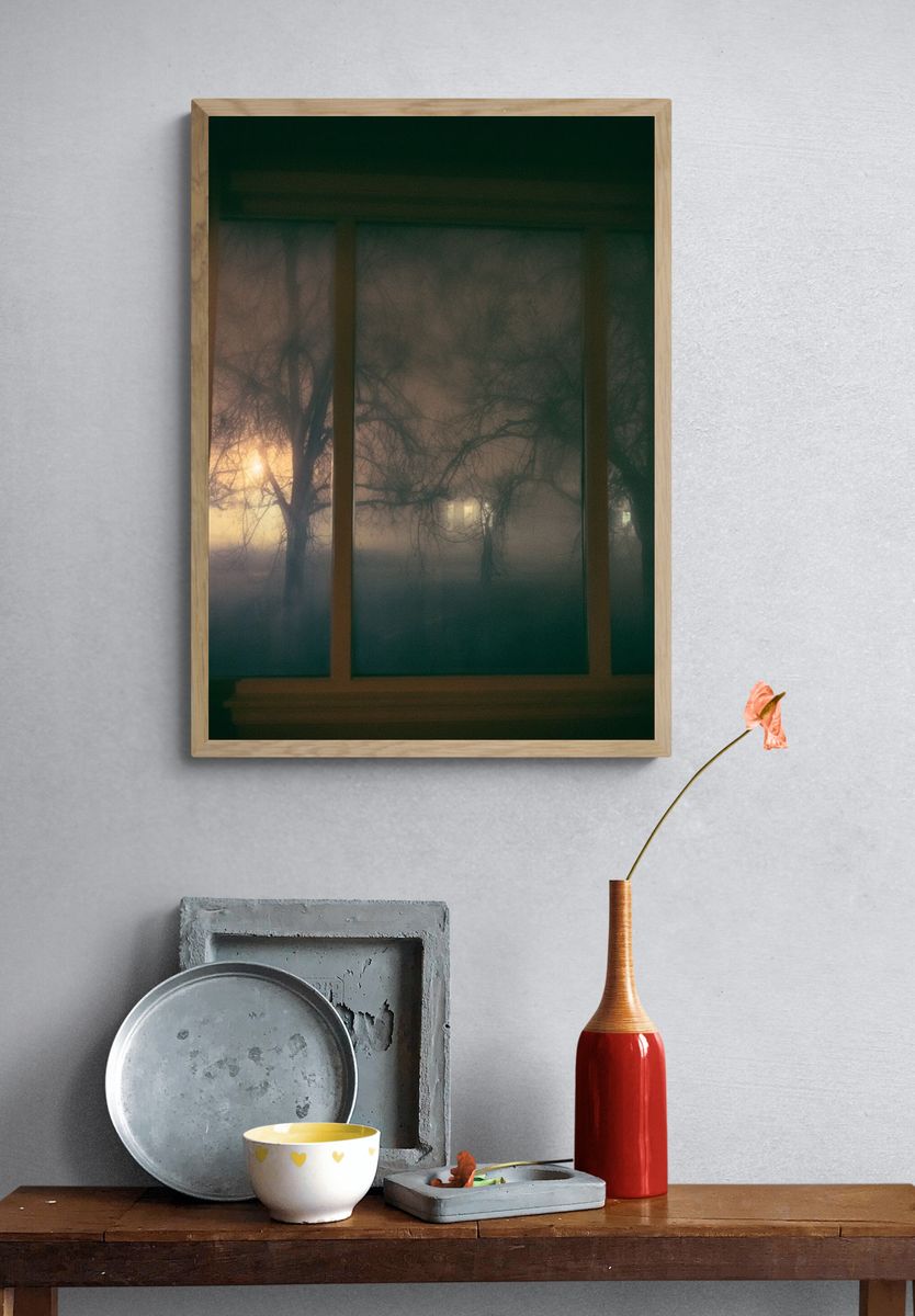 Foggy Trees at Dusk Photography Poster. — room view 3