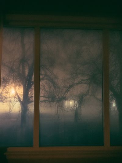 Foggy Trees at Dusk Photography Poster.