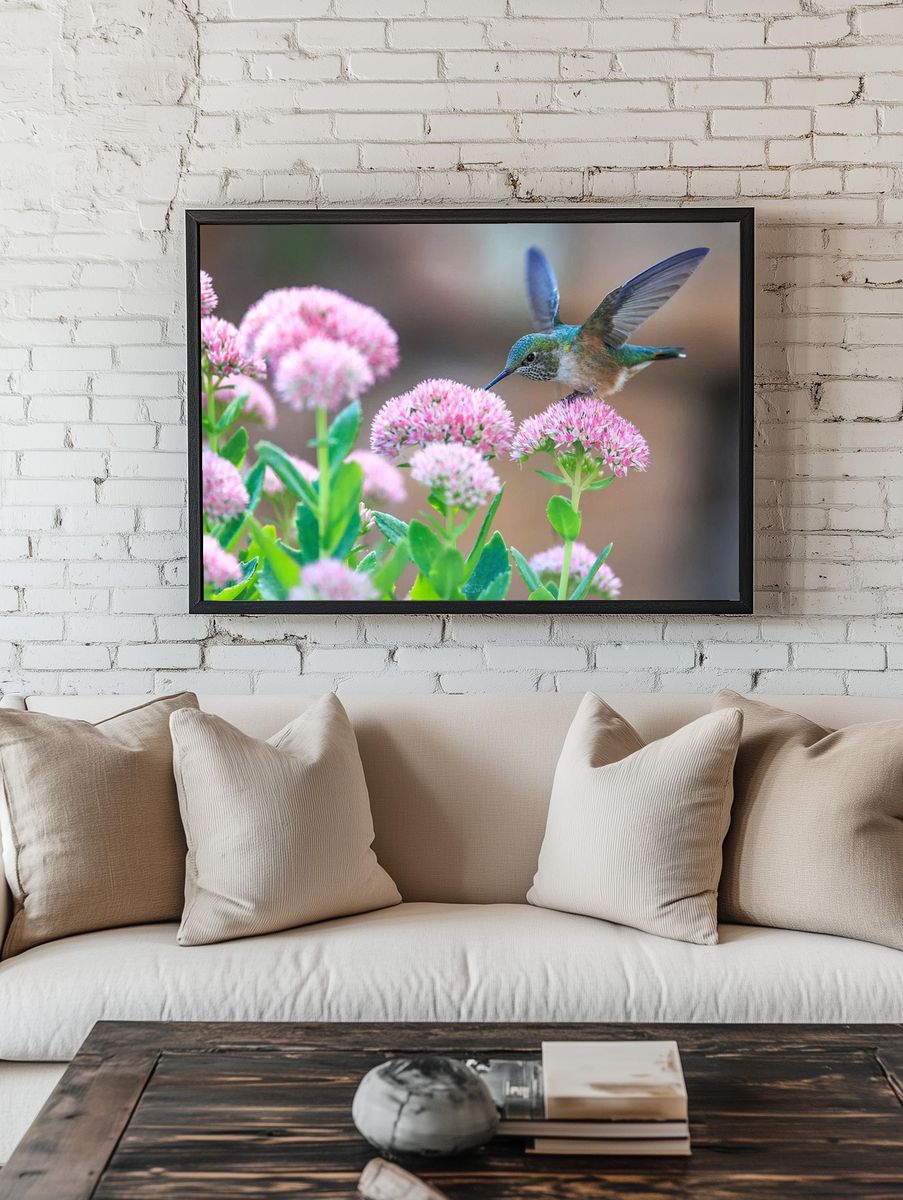Hummingbird feeding flower. room preview