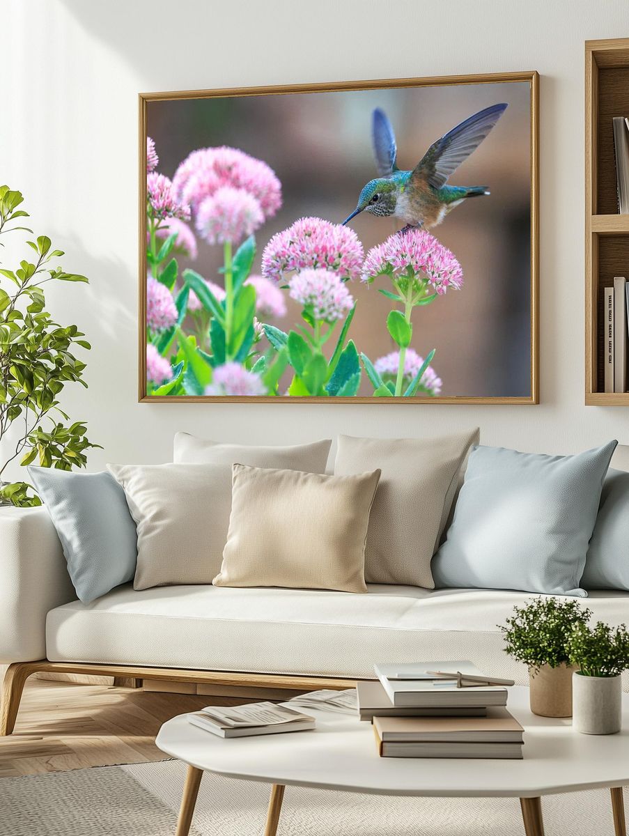 Hummingbird feeding flower. — room view 2
