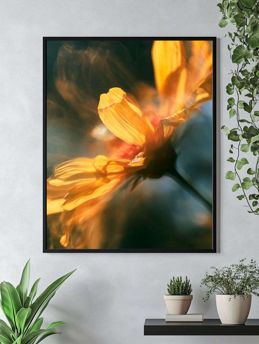 Golden Flower Bloom Photography Poster. — room view 4