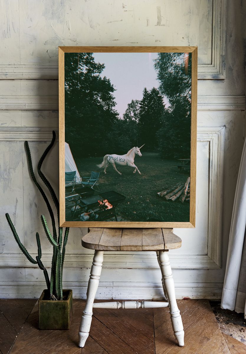 Unicorn in the Forest Photography Poster. room preview