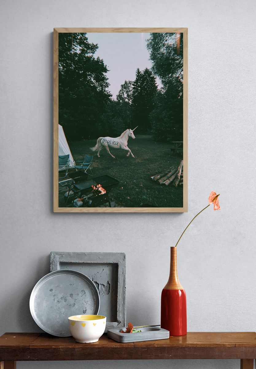Unicorn in the Forest Photography Poster. — room view 3