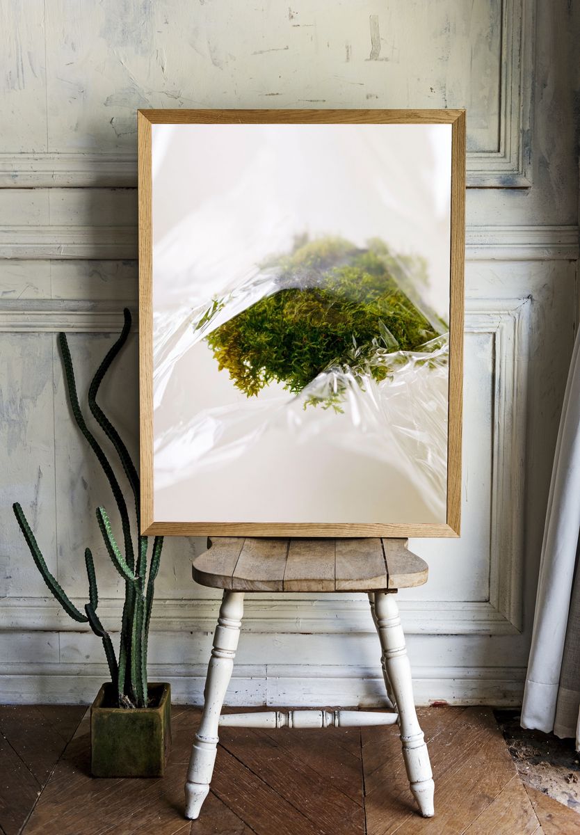 Moss in Plastic Wrap Photography Poster. room preview
