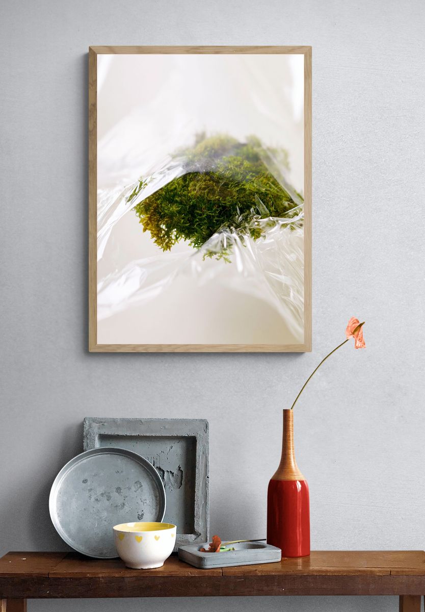 Moss in Plastic Wrap Photography Poster. — room view 3