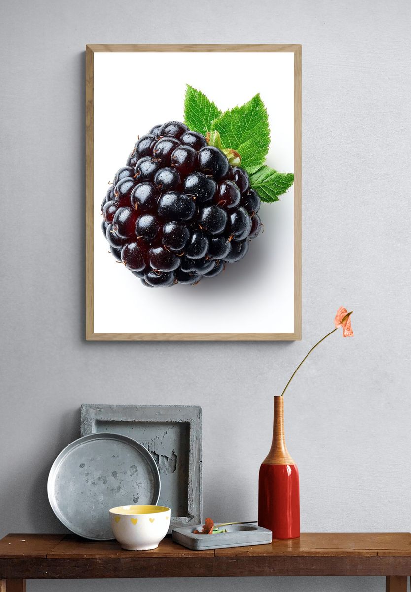 Blackberry Still Life Photography Poster. — room view 3