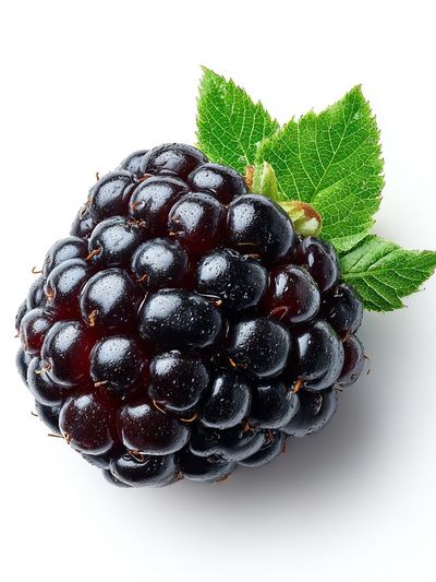 Blackberry Still Life Photography Poster. poster print