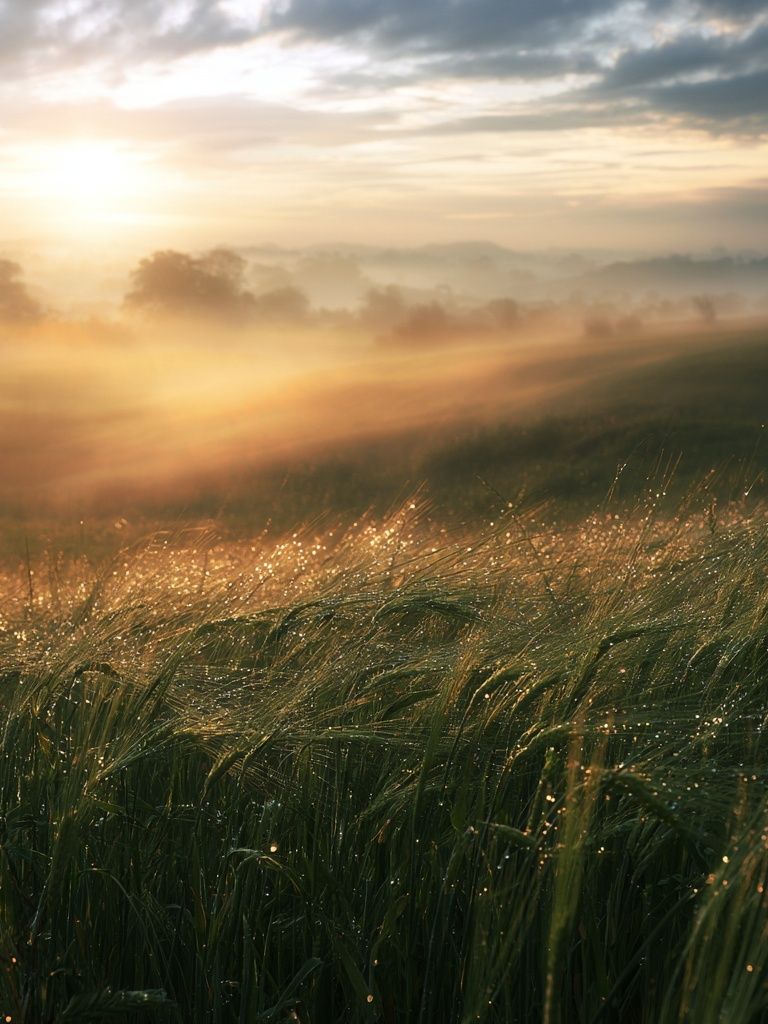 Misty Sunrise Meadow Photography Poster. poster — photography art