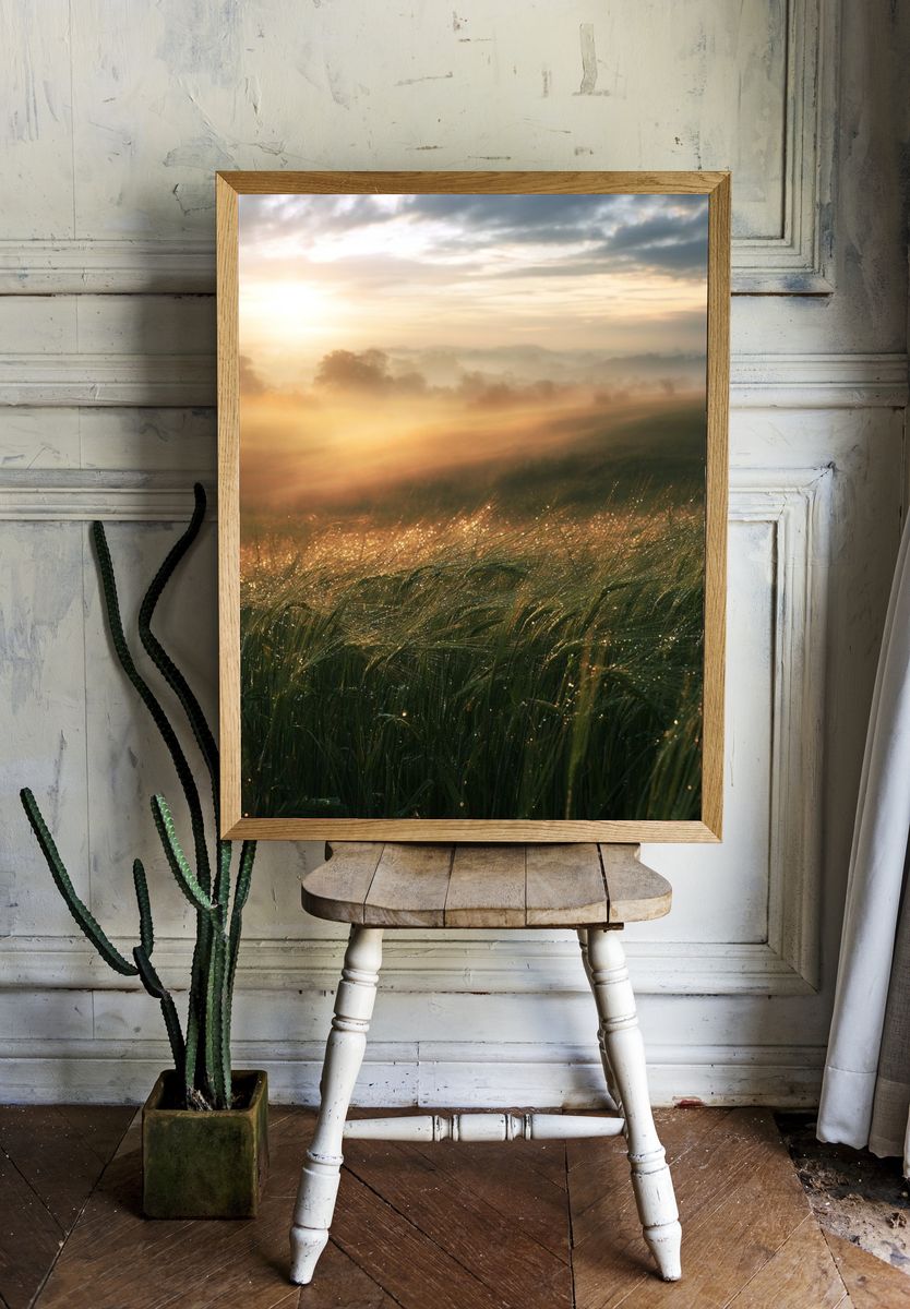 Misty Sunrise Meadow Photography Poster. room preview