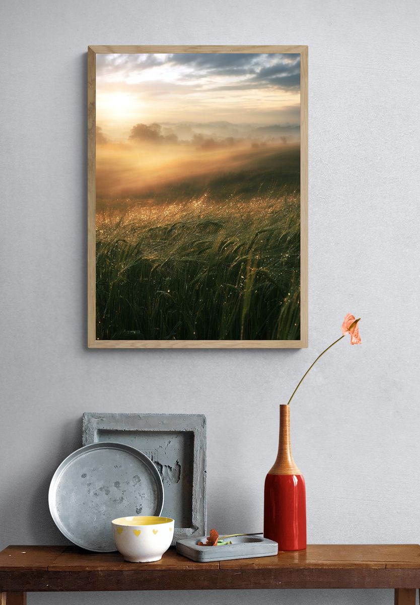 Misty Sunrise Meadow Photography Poster. — room view 3