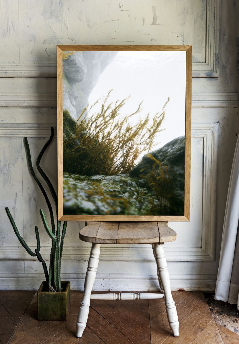 Misty Coastal Rocks Photography Poster. — room view 1
