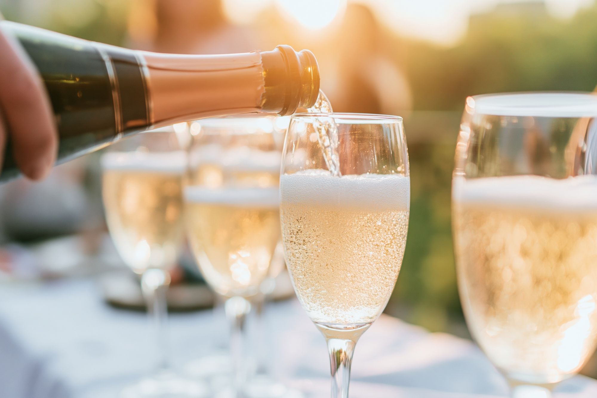 Champagne Toast Photography Poster. poster — photography art