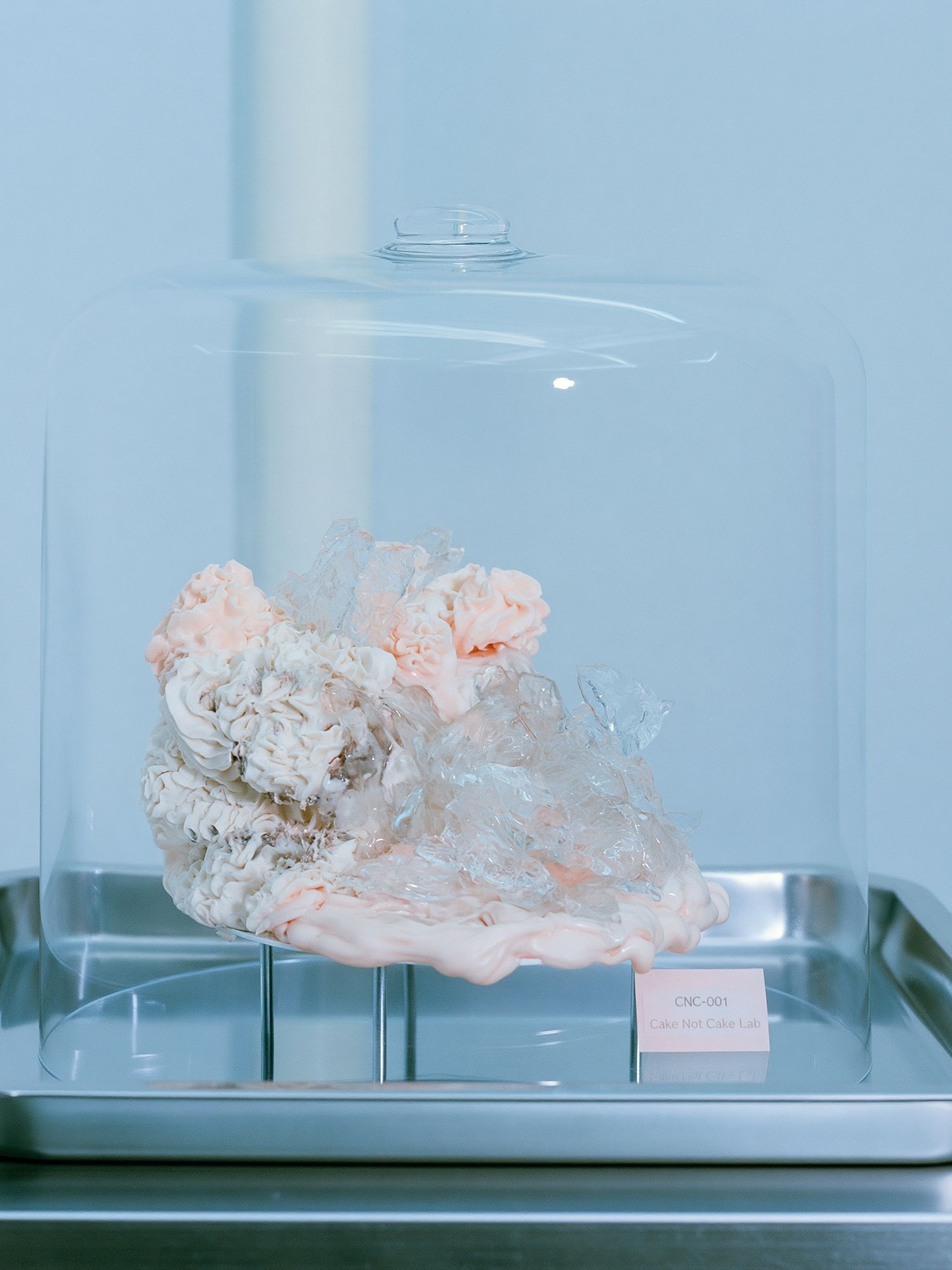 Cake Under Glass Photography Print. poster detail