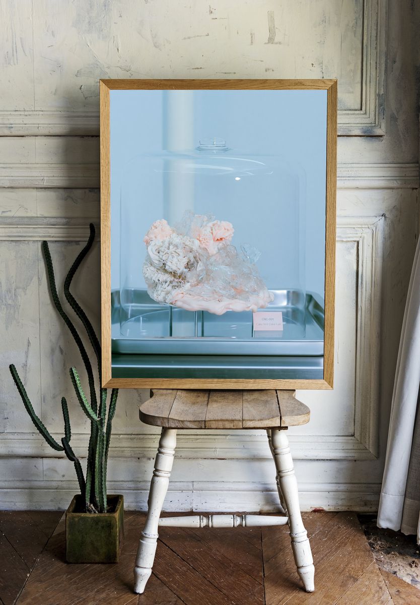 Cake Under Glass Photography Print. room preview