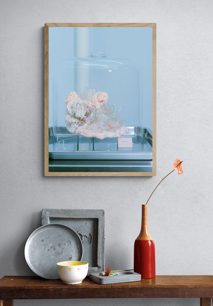 Cake Under Glass Photography Print. — room view 3