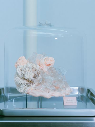 Cake Under Glass Photography Print. poster