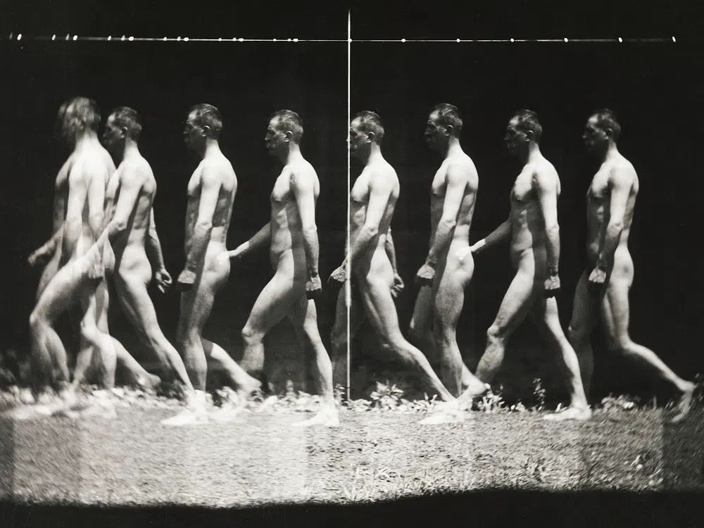 Nude photography naked man walking. poster — photography art