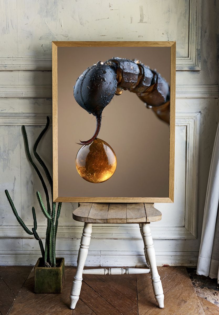 Macro Insect Droplet Photography Poster. room preview