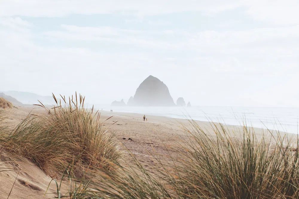 Cannon Beach, Oregon, United States. poster — photography art