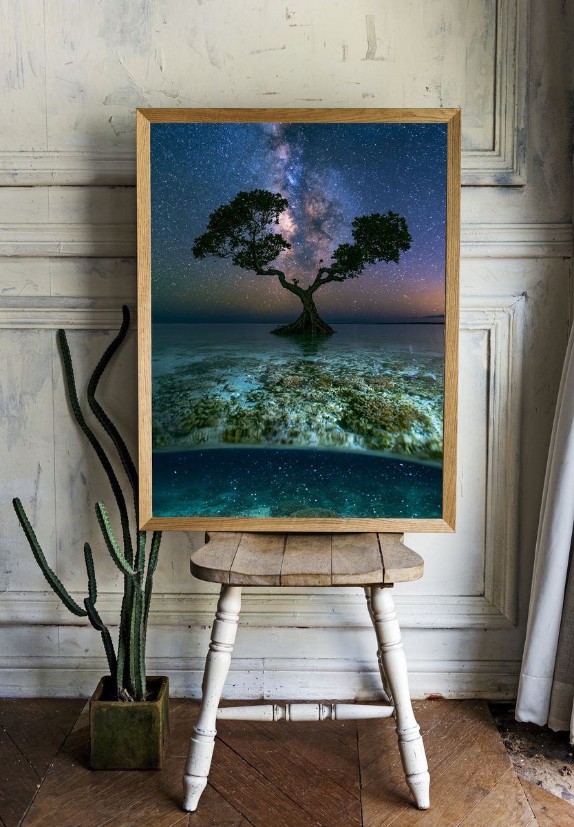 Milky Way Mangrove Nightscape Poster. — room view 1