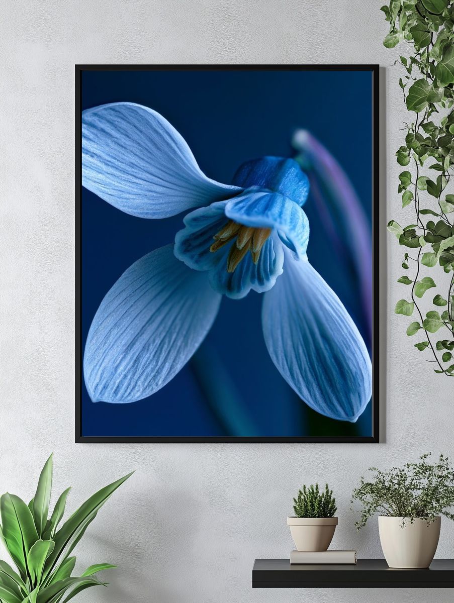 Blue Blossom Macro Photography Poster. — room view 4