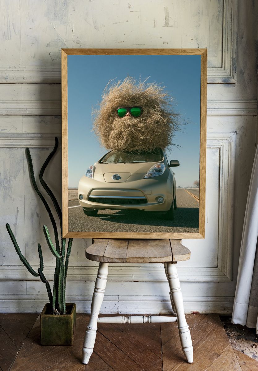 Desert Hair Car Photography Poster. — room view 1