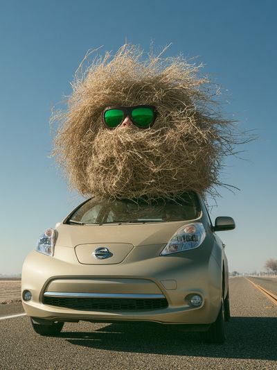 Desert Hair Car Photography Poster.