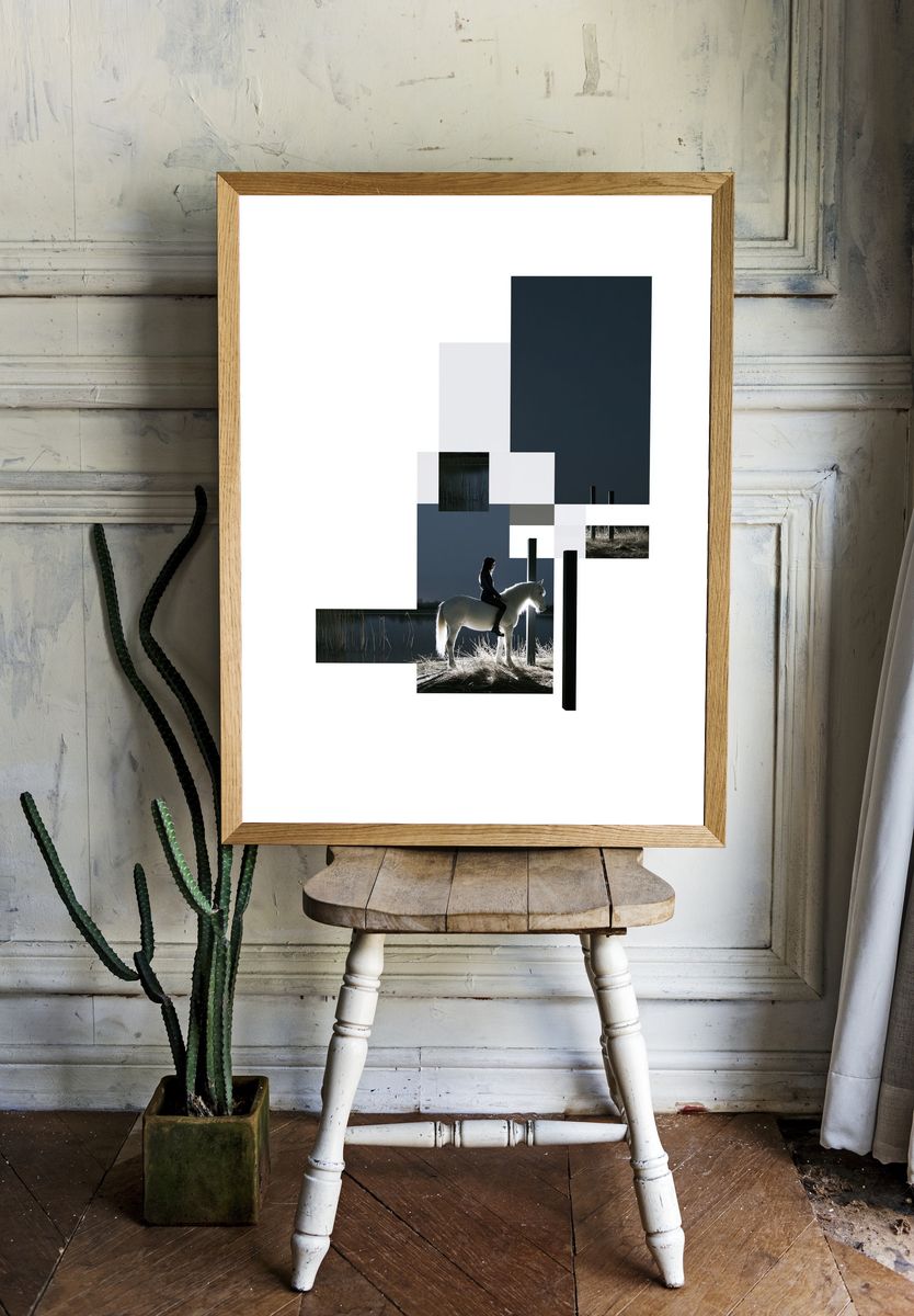 Moonlit Horse Photography Poster. room preview