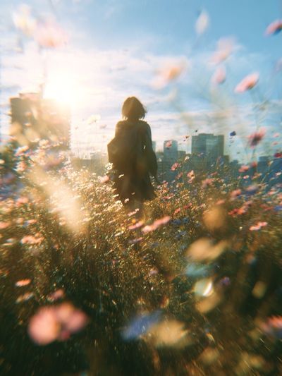 Sunlit Meadow Silhouette Photography Poster.