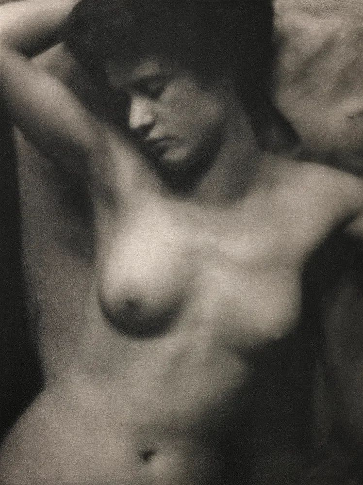 Torso 20th century photo high. poster detail