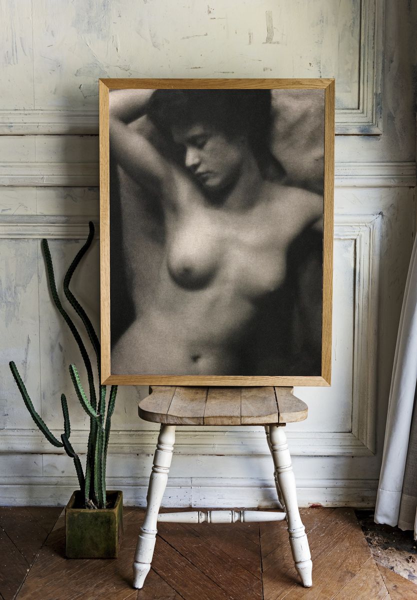 Torso 20th century photo high. — room view 1