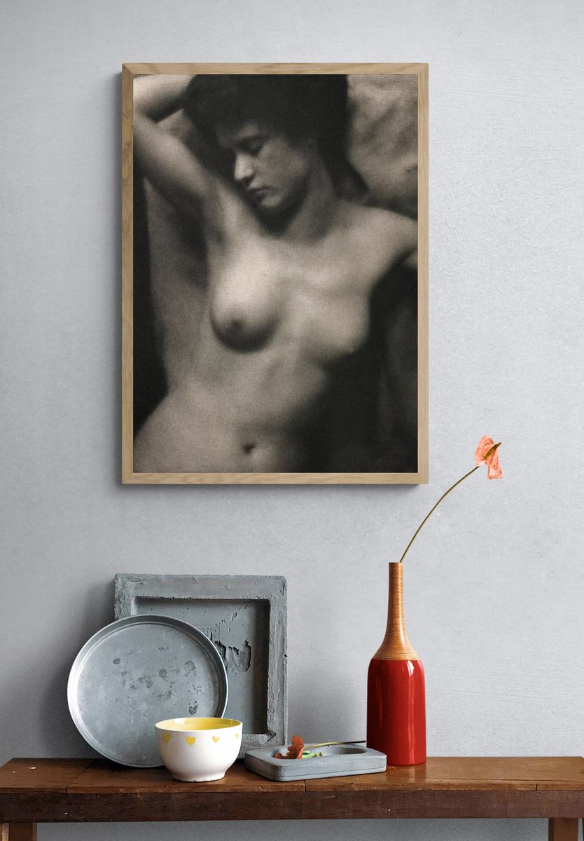 Torso 20th century photo high. — room view 3