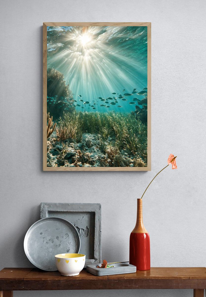 Sunlit Coral Reef Photography Poster. — room view 3