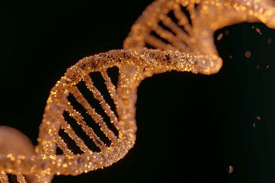Golden DNA Helix Photography Poster.