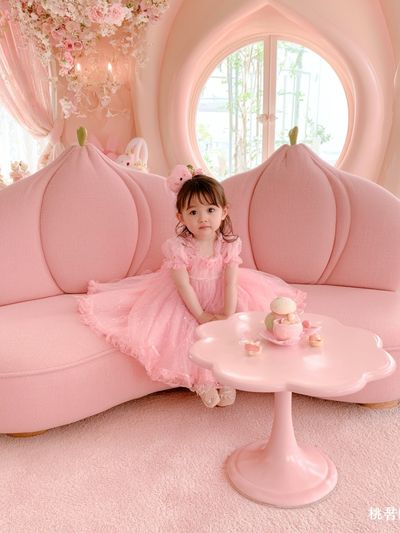 Pink Princess Room Photography Poster.
